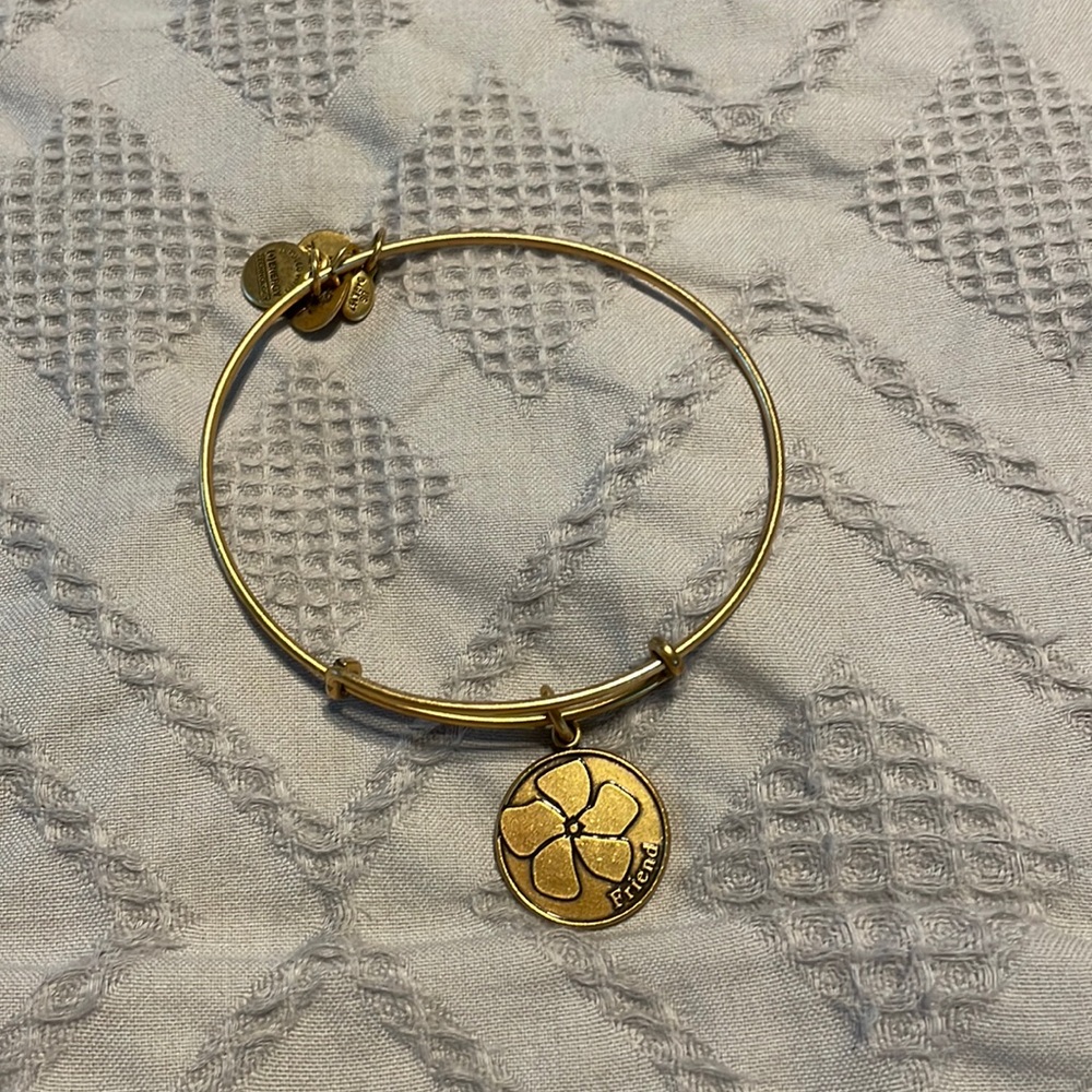 Alex and Ani friend bracelet